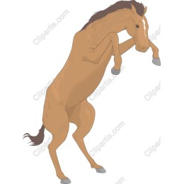 Dynamic Rearing Horse