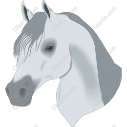 Majestic Horse Head