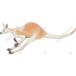 Dynamic Kangaroo