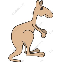 Adorable Kangaroo