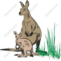 Charming Kangaroo & Joey