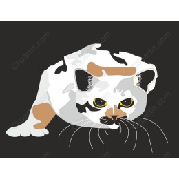 Charming Calico Cat