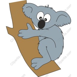 Cute Koala Clinging to Tree