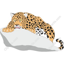 Majestic Jaguar