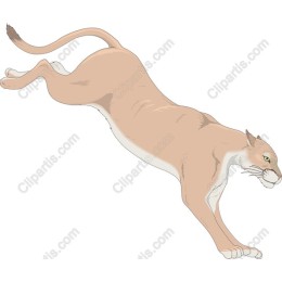 Leaping Cougar