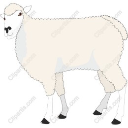 Whimsical Sheep