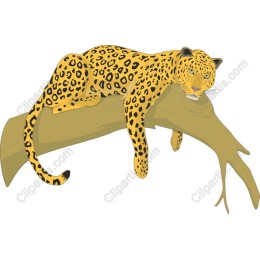 Resting Leopard