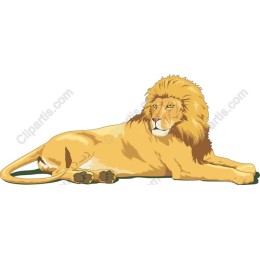 Majestic Lion