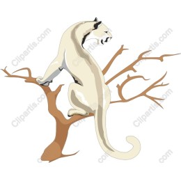 Majestic White Panther on Tree Branch