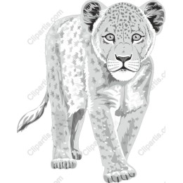 Majestic Lion Cub