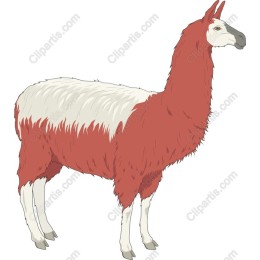 Charming Llama