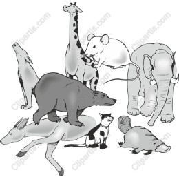 Charming Wildlife Ensemble