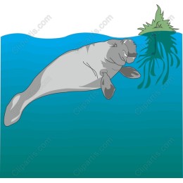 Manatee - Ocean Life Art
