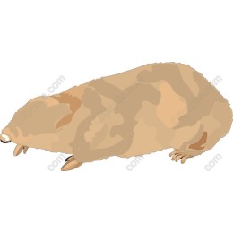 Charming Mole
