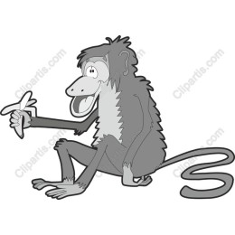 Playful Monkey