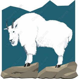 Majestic Mountain Goat