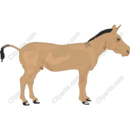 Elegant Horse
