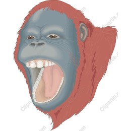 Roaring Gorilla Head