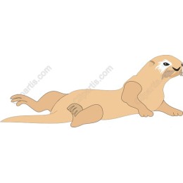 Charming Otter