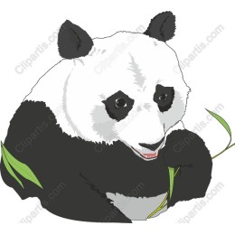 Charming Panda