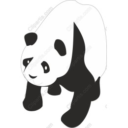 Cute Panda