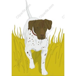 Playful Pointer Dog