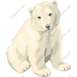 Charming Polar Bear