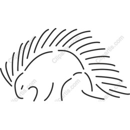 Stylish Porcupine