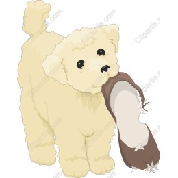 Playful Puppy with Slipper