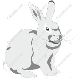 Elegant Rabbit