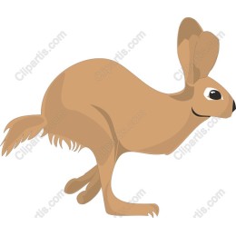 Leaping Hare