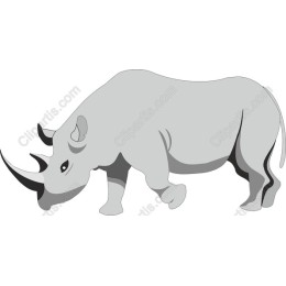 Rhinoceros