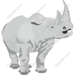 Rhinoceros