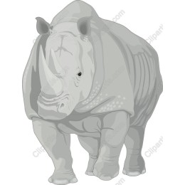 Majestic Rhinoceros