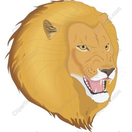 Majestic Lion
