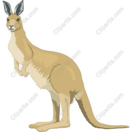 Kangaroo