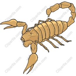 Exquisite Scorpion