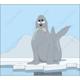 Playful Seal