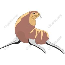 Charming Seal
