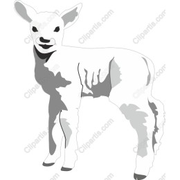 Charming Lamb