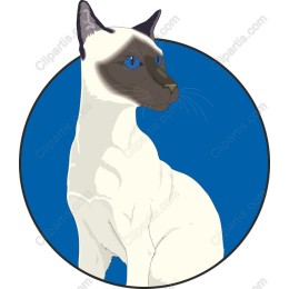 Siamese Cat