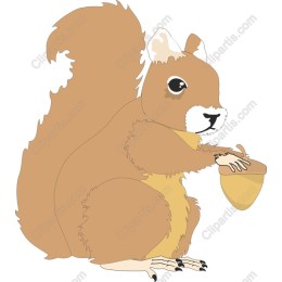 Adorable Squirrel