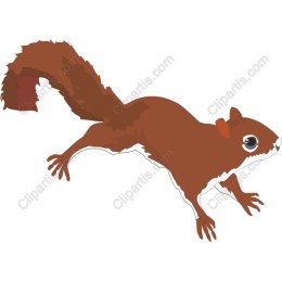 Playful Squirrel