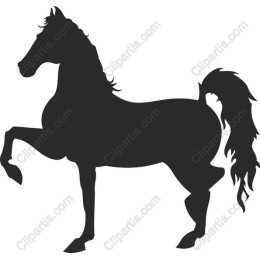 Majestic Rearing Horse