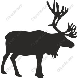 Majestic Reindeer
