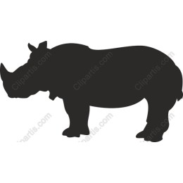 Rhinoceros