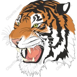 Tiger Head