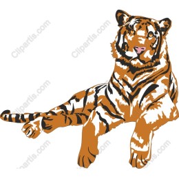 Majestic Tiger