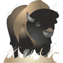 Majestic Bison