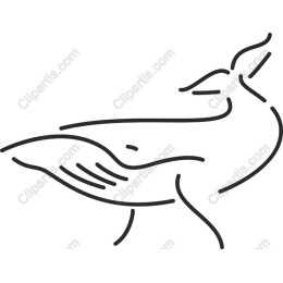 Elegant Bird Line Art